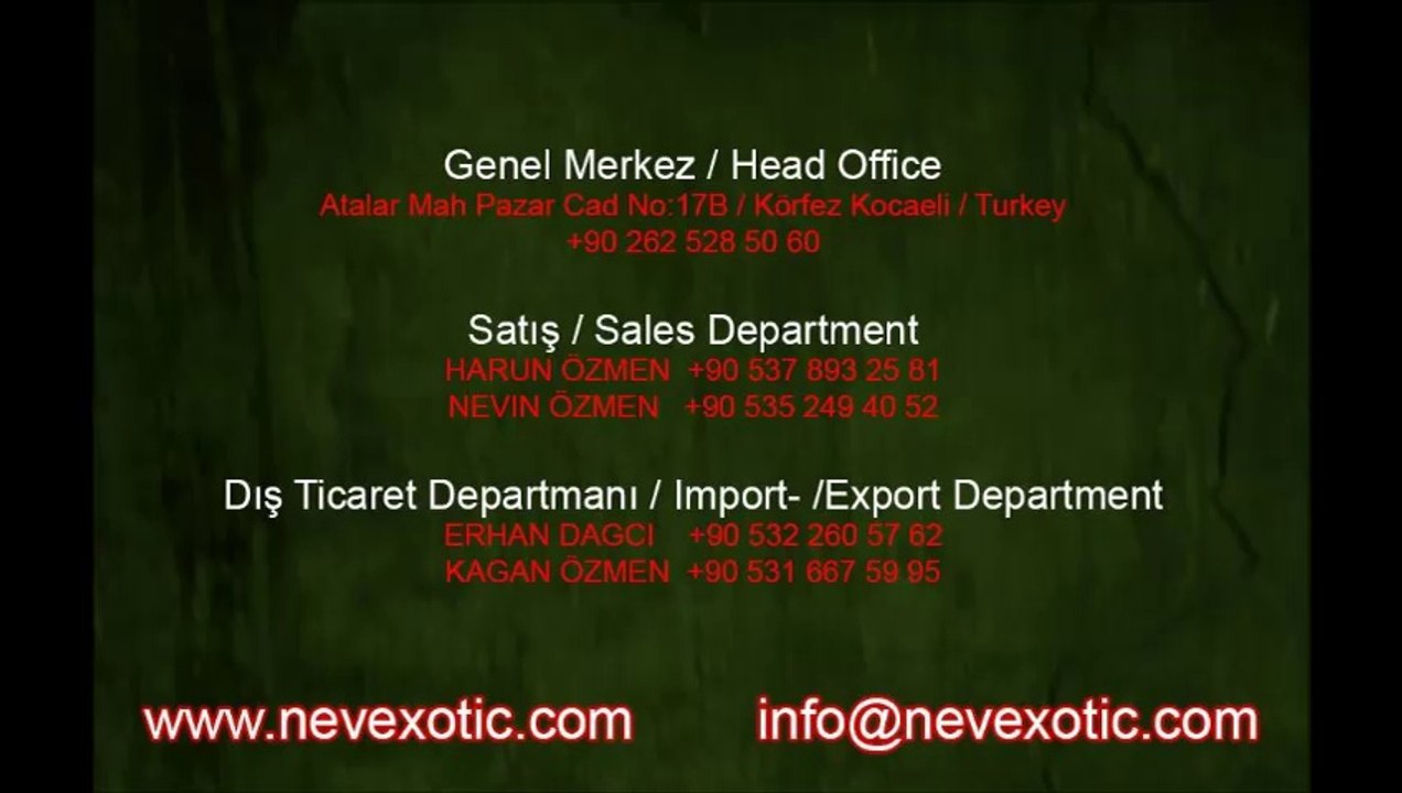 Nev Exotic (20)
