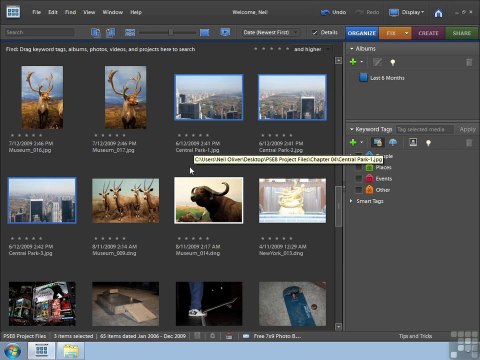 Adobe Photoshop Elements 8 part