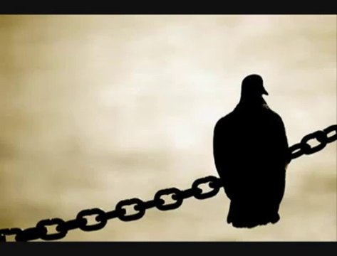 Farid Farjad - Fikrimin Ince Gülü