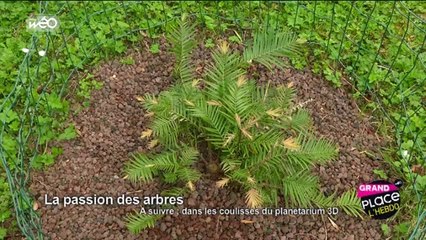 Grand'Place l'hebdo à LA COUPOLE d’Helfaut