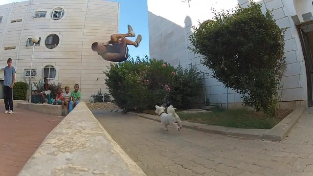 Parkour vs Chien (FAIL)
