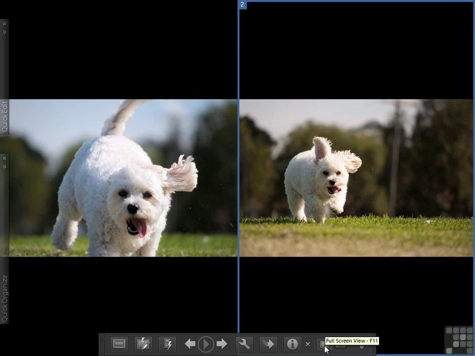 Adobe Photoshop Elements 8 part