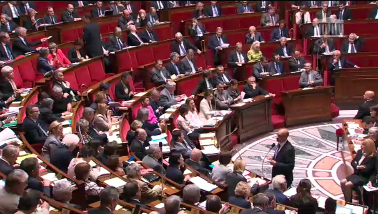 QAG JL Roumégas - Raoni Metuktire à l'Assemblée nationale