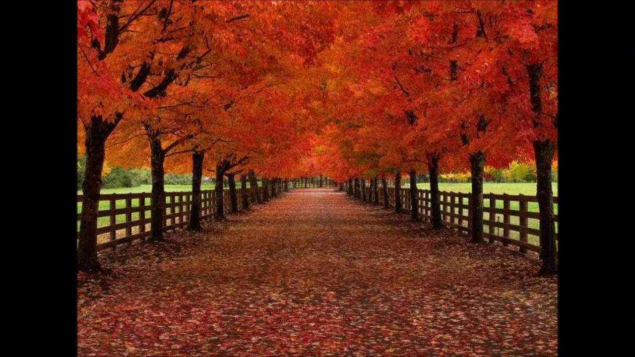 Sosyete çocuğuna şiir