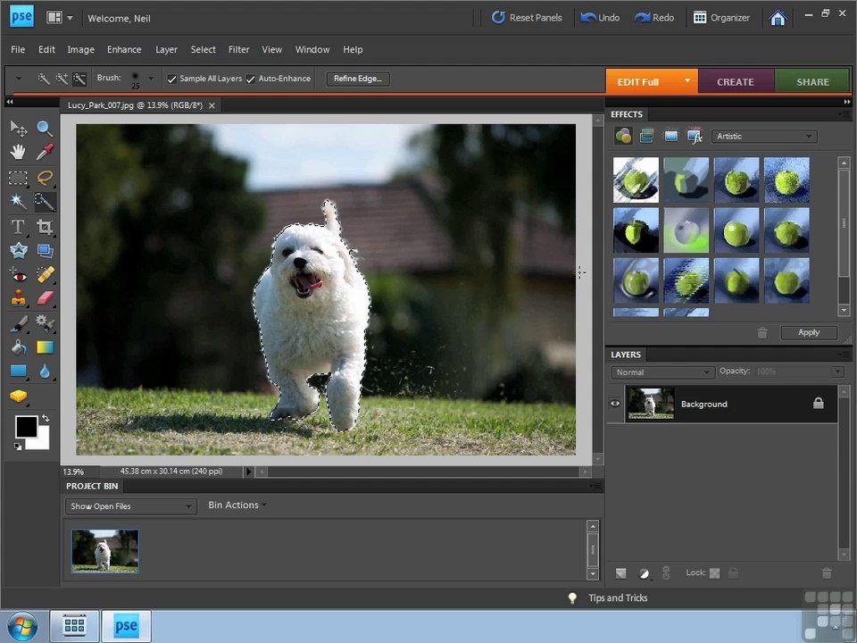 Adobe Photoshop Elements 8 part 38