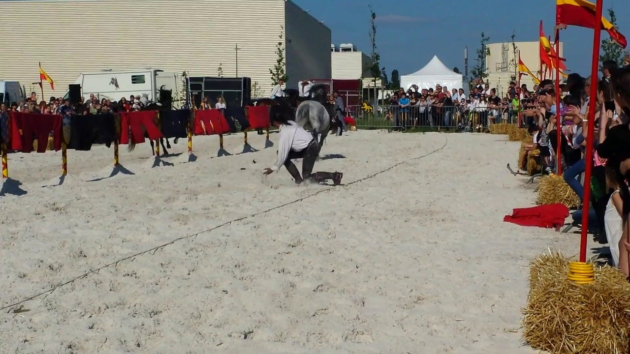 v20140531_175043