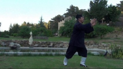 Qi Gong  the 5 animals of Wudang.THE TORTOISE