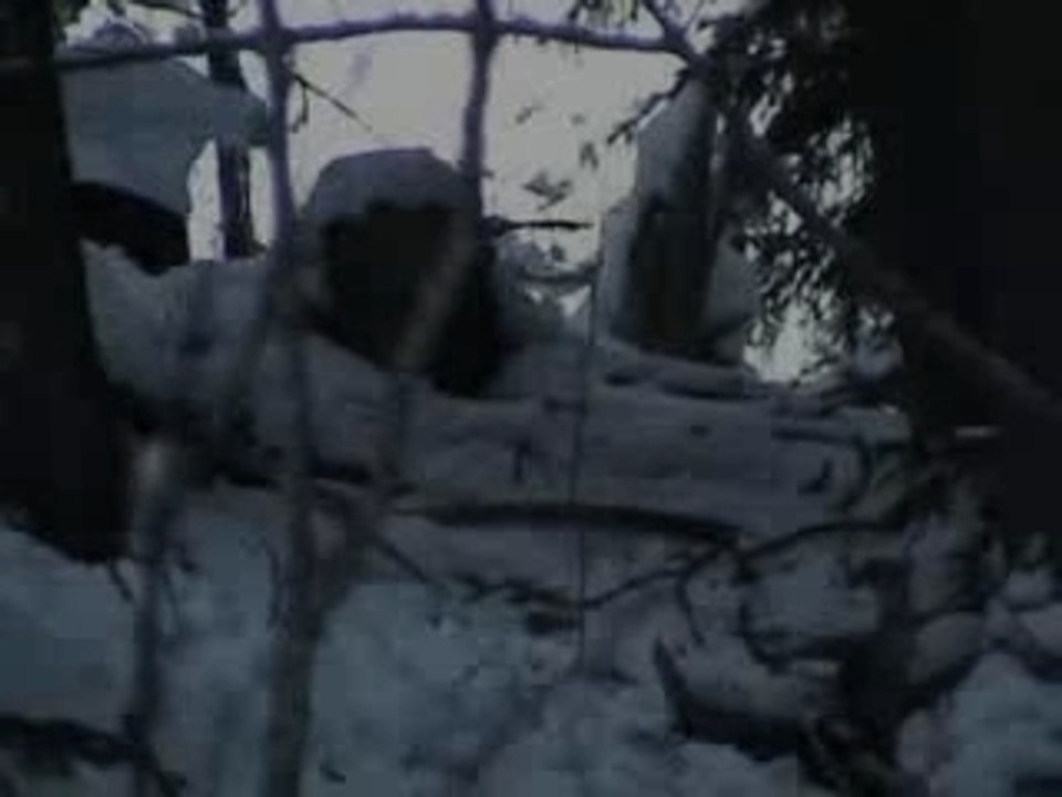 Skiperdudanslaforet