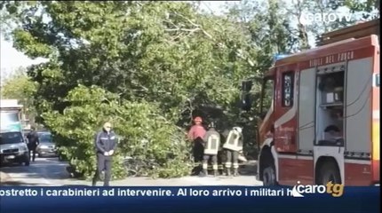 Icaro TG del 17 Aprile 2014