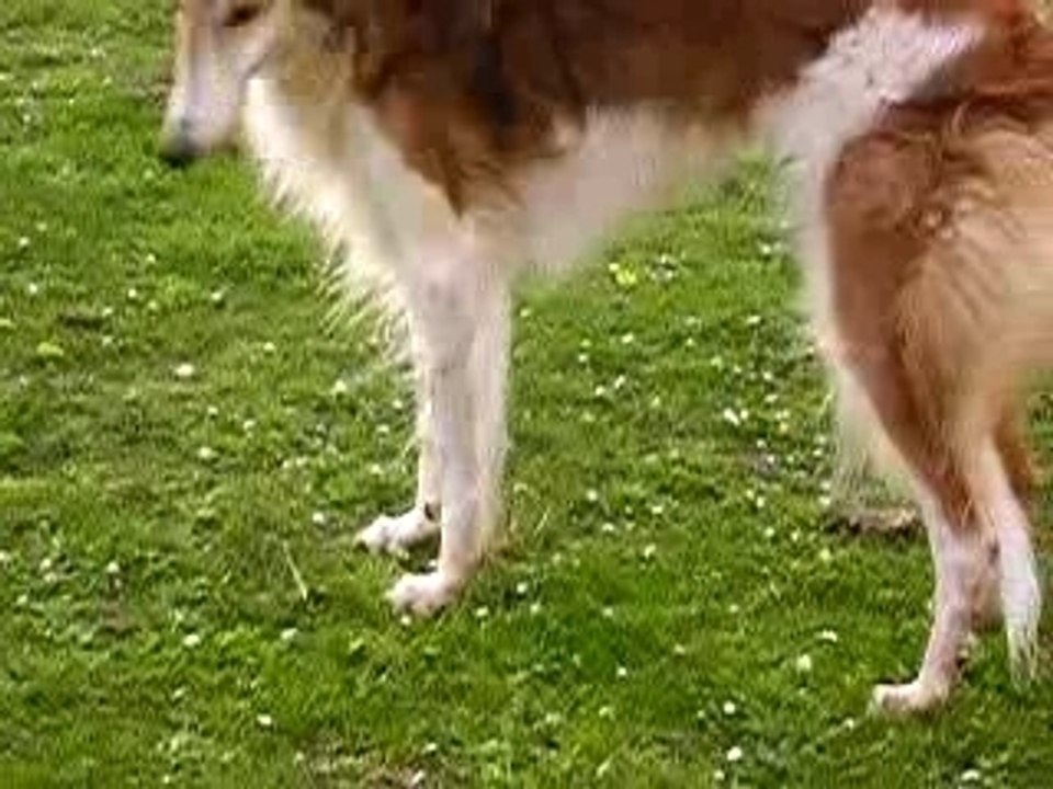 LIAKOWSKA DES CROCS DE LA MOLIERE  est toujours là