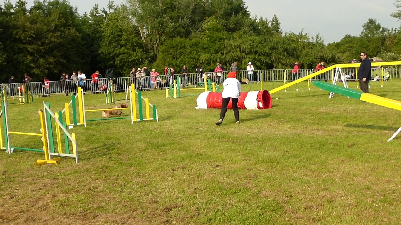 Agility Manche  2 Canelle