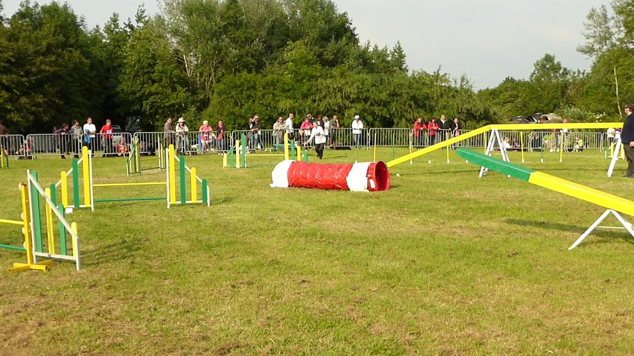 Agility Manche 2 Chelsea
