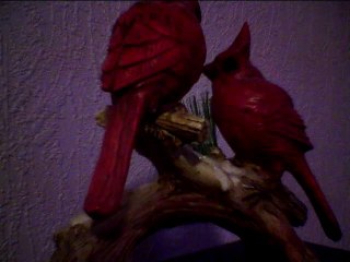 A Cover of Shakira Empire (Audio Only)