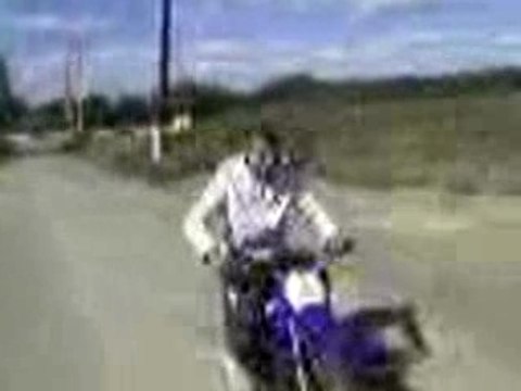 La perruche trappes 78 soleil pw 80