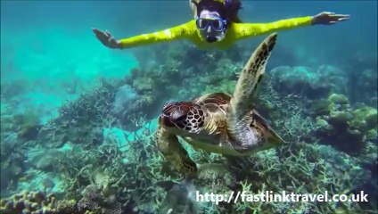 Beaches in South America