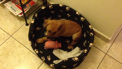 Jack pète un câble ^_^