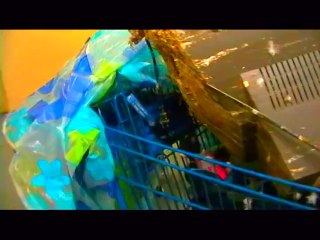 Shocker of a video - A television covered in pigeon turds and other crap I observed in the trash room for random reasons unknown