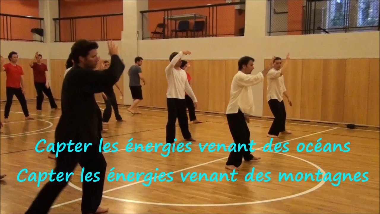 QI-GONG DE L'ECOLE DU TIGRE VOLANT - 01 45 77 30 78