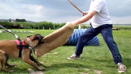 Iron du Dragon Rouge de Jupiter le 03.06.2014