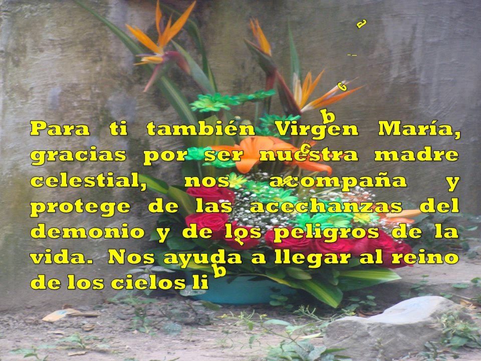 DIA DE LA MADRE