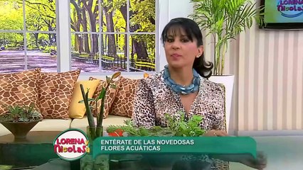 Sepa cómo hacer decoraciones con flores y plantas acuáticas