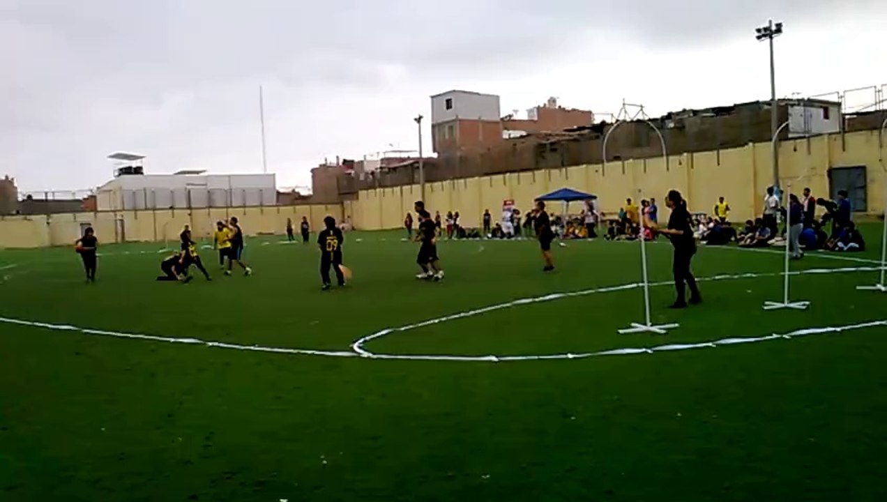 QuidditchPeru 02 2014
