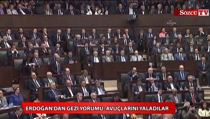 Erdoğan'dan Gezi yorumu Avuçlarını yaladılar