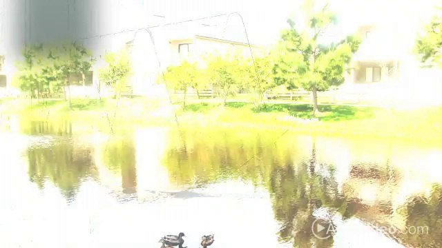 Pines of Mindanao Apartments in Jacksonville, FL - ForRent.com