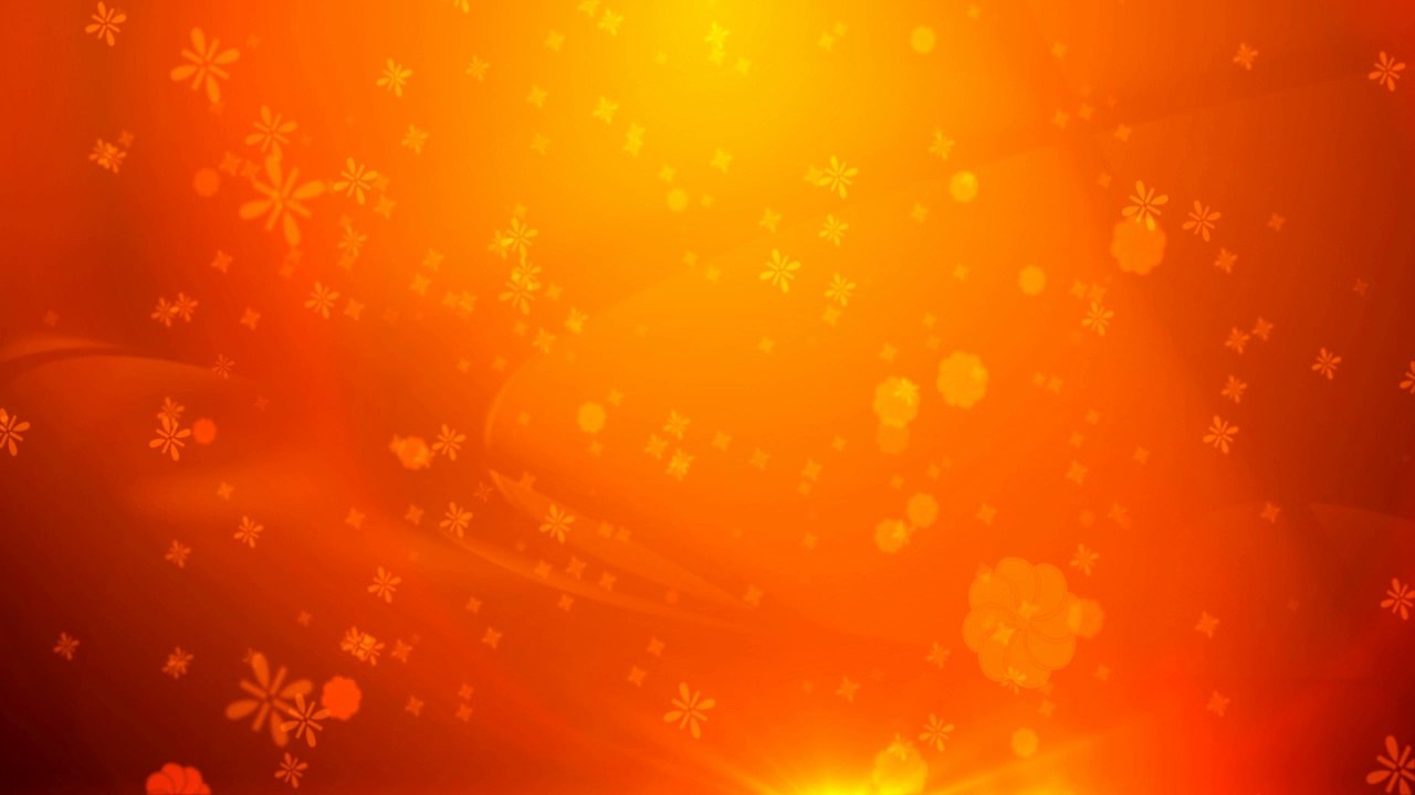 Wedding Motion Background Loop