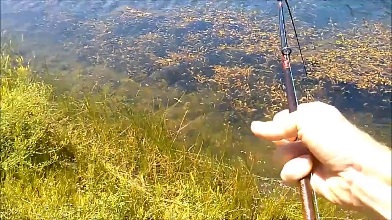 Largemouth Bass Fishing Double up Yamamoto Senko
