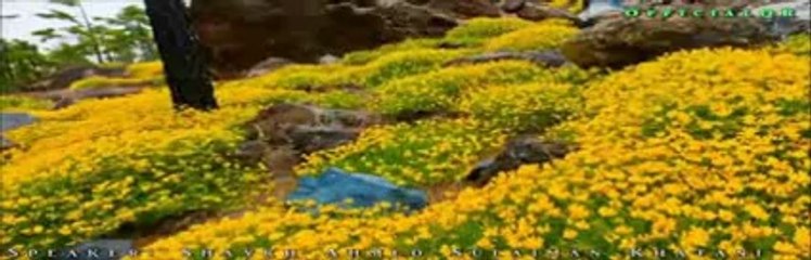 Why Have You Forgotton Your Allah ? by Shaykh Ahmed Sulaiman Khatani