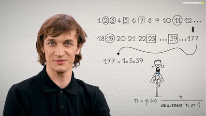 Les nombres premiers : clés de la sécurité 🔐