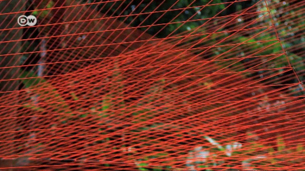 Kunst aus Bindfäden von Sébastien Preschoux | Euromaxx