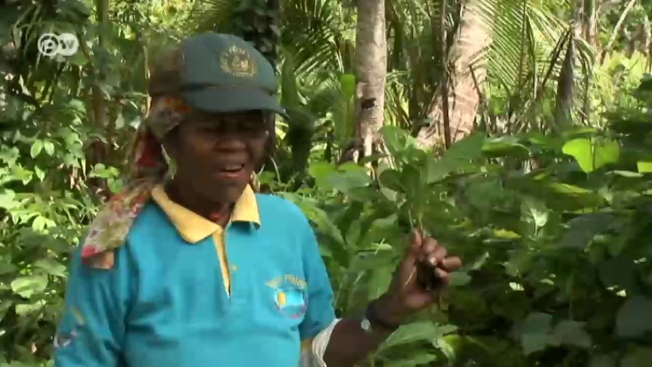 Palaus reiche unterwasserwelt erhalten | global 3000