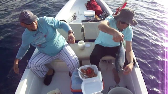 YAZILI ORKİNOS AVI - adrasanbalik.com