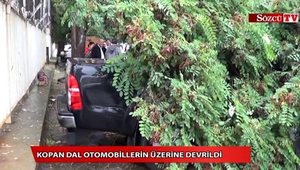 Kopan dal otomobillerin üzerine devrildi