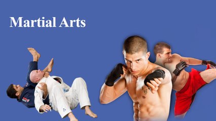 Gracie Morumbi Fabio Leopoldo - Martial Arts and Fitness
