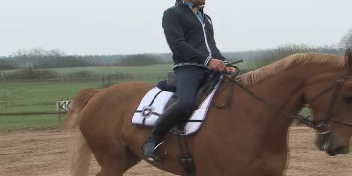 Cheval Pratique - Le trot avec Bertrand Poisson