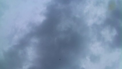 ŞEKERİ EKE 2 YAŞINI AŞKIN DİŞİ ANTRAMAN VERİYORUZ.