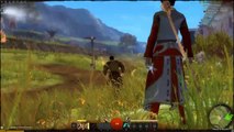 Guild Wars 2 : Guerrier épisode 2