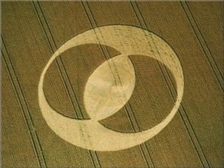 Círculos de Cultivo: El Gran Enigma de 1996 🌾