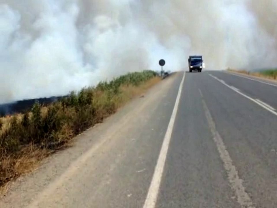 ANIZDA TOPRAGI DA YAKARSIN