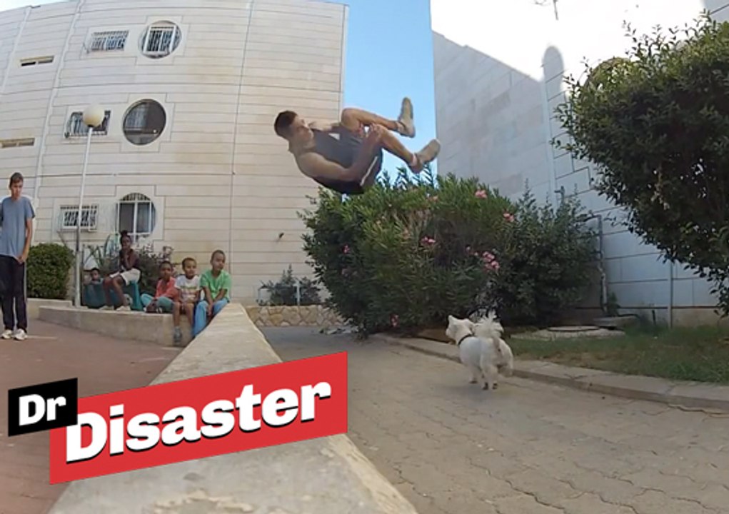 Un chien finit sous les baskets d'un acrobate / Dr Disaster