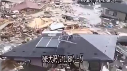 tsunami del japon del 2011