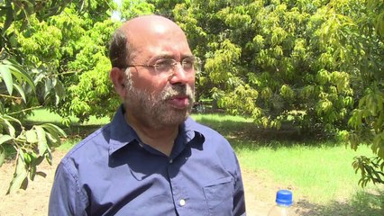 Guerra de mangos entre India y Pakistán