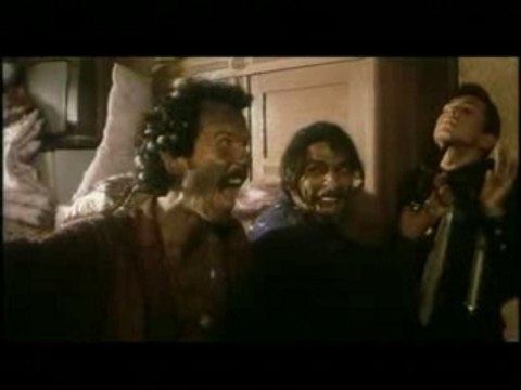 Chat noir chat blanc