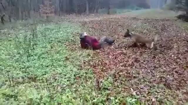 This dog is better than an NFL player...