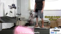 Awesome Raptor robot can runs at 46 km/h