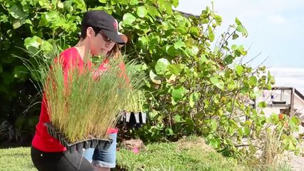 Wells Fargo Awards $3 Million to 54 Community-Based Environmental Groups