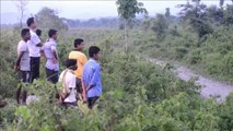 Firecrackers used to scare foraging elephants in India